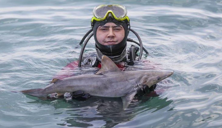 Denize bırakılan atıl ağlar köpek balığı yavrusunun ölümüne neden oldu