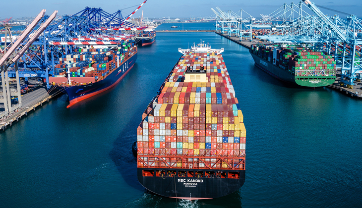 Dünya Denizciliğinde Kritik Gelişmeler: Denizcilik Genel Müdürlüğü'nden Yeni Bülten