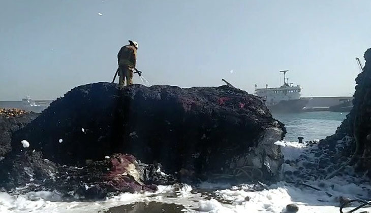 Gürpınar Su Ürünleri Hali'nde balıkçı ağları yandı