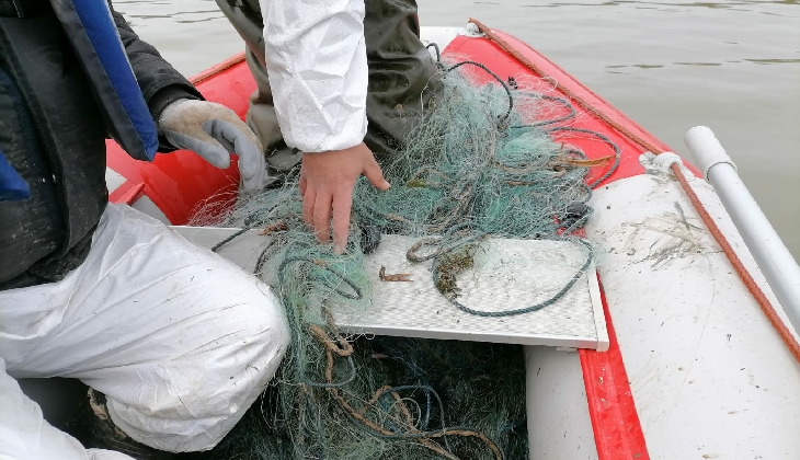 Kaçak olarak avlanan 750 kg canlı balık suya bırakıldı
