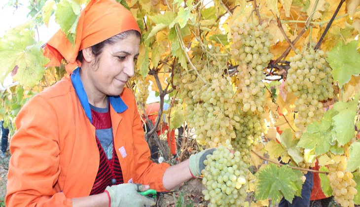 Limanı ve ülke sınırı olmayan İlçeden 550 milyon dolarlık ihracat