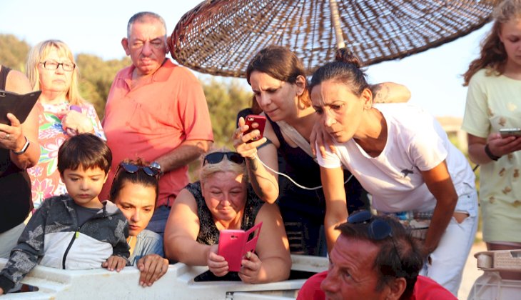 Bodrum’da ilk kez görüldü, ekipler alarma geçti, görenler ise şok oldu !