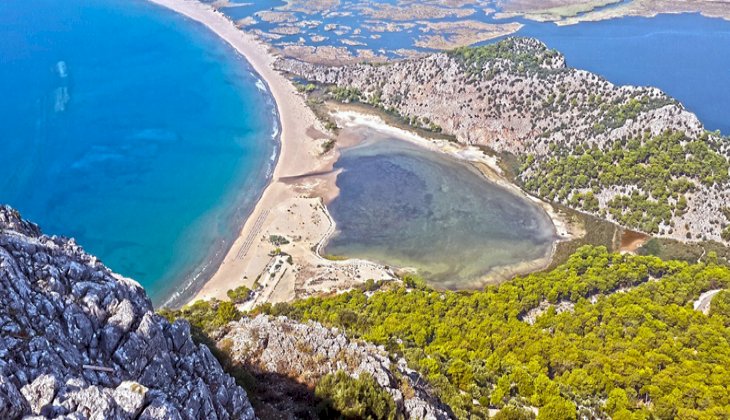 Dalyan İztuzu’nda ‘Fikir Projesi’ yarışması