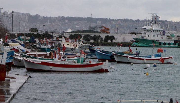 Balıkçı 'çaça avcılığı' ile ayakta duruyor