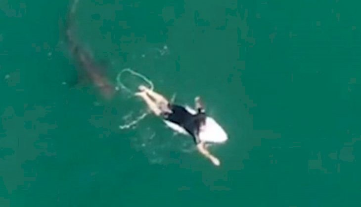Avustralyalı sörfçü drone sayesinde köpek balığı saldırısından kurtuldu