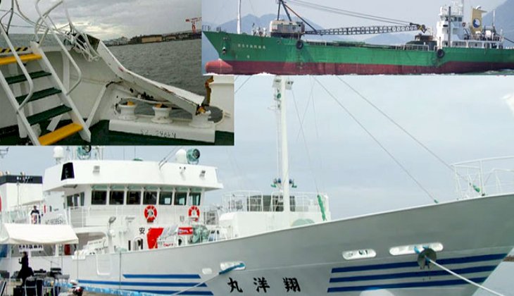 Faxai Tayfunu nedeniyle Japonya'da birçok gemi kazası yaşanıyor