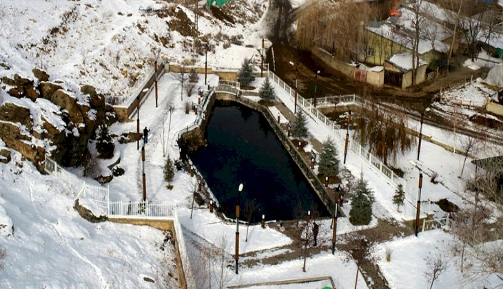 Ölen balıklar özel mezarlığa defnediliyor