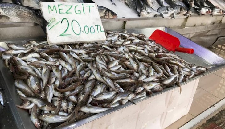 Olumsuz hava şartları nedeniyle balık tezgahları boş kaldı