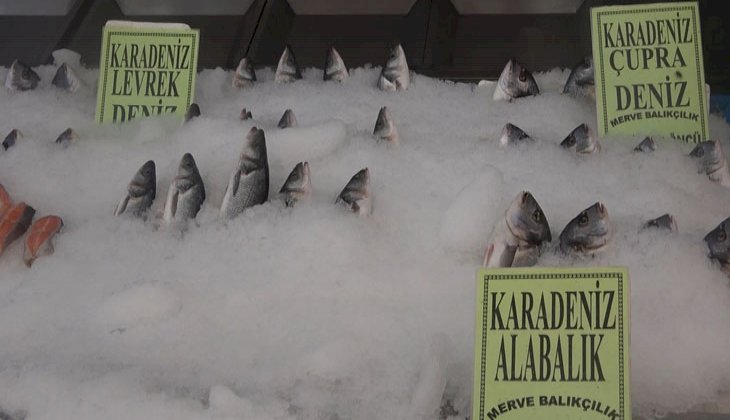 Korona virüs balık satışlarını artırdı, en çok levrek ve çipura tüketiliyor