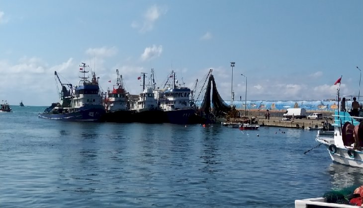 Balıkçılar sert poyraz nedeniyle Akçakoca balıkçı barınağına sığındı