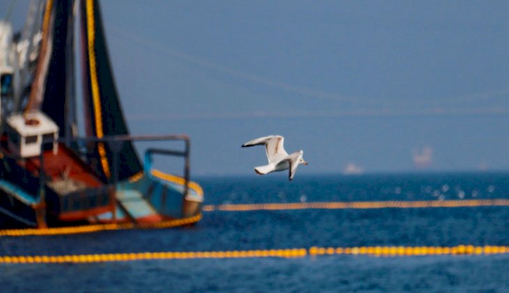 Balıkçı tekneleri, İstanbul Boğazı’nın eşsiz manzarasıyla birleşti