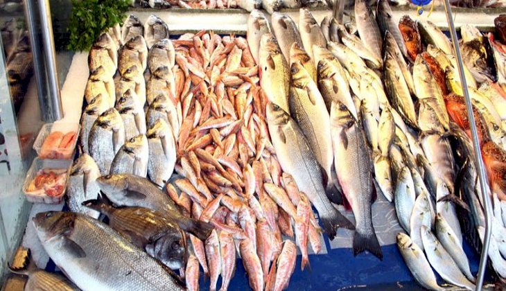 Gıda harcaması içerisinde en fazla payı et, balık ve deniz ürünleri aldı