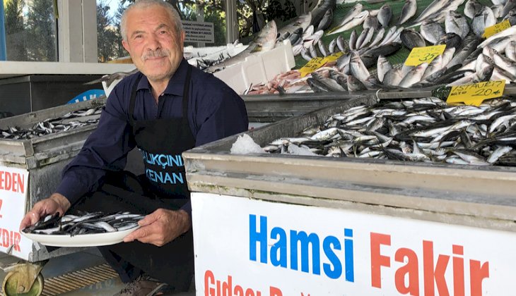 “Son 10 yılda bulunmayan uzunlukta hamsi tutuyoruz”