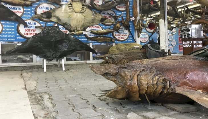 Türkiye Deniz Canlıları Müzesi ziyaretçi rekoru kırdı