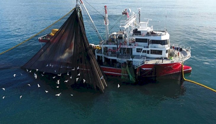 Karadeniz’de hamsi yüzleri güldürüyor