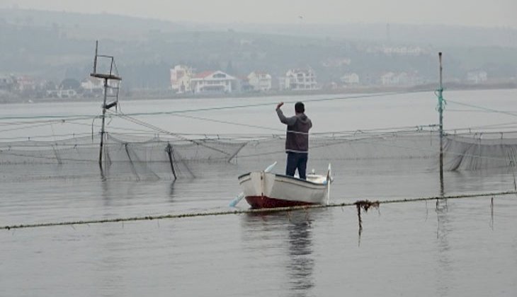 Binlerce yıllık yöntemle günde 1 ton balık yakalıyorlar