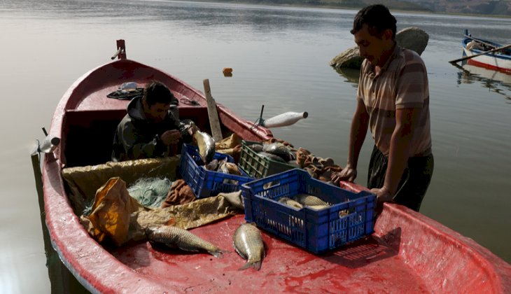 Denizi olmayan şehirden balık ihraç ediyorlar
