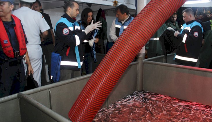 İstanbul'da 2 ton balığa el konuldu