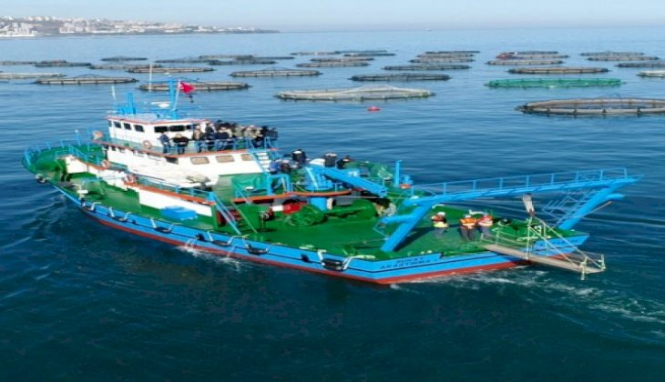 Trabzon’a kafes balığı üretiminden 30 milyon dolar!
