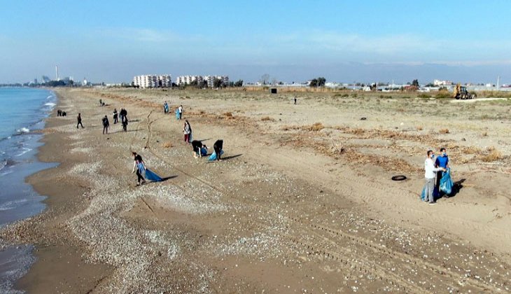 Mersin'de deniz kaplumbağalarının yuvalama alanı temizlendi