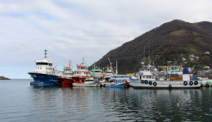 Balıkçılığın Trabzon ekonomisindeki son durumu belli oldu