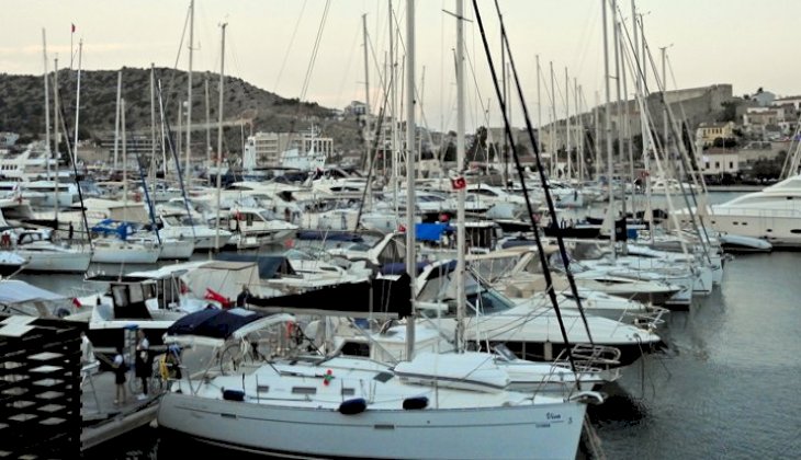 Çeşme Marina, deniz patlıcanlarına ev sahipliği yapıyor