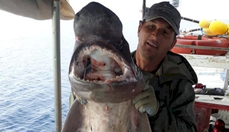 Antalyalı balıkçı 1 metre uzunluğunda dev sardalya yakaladı