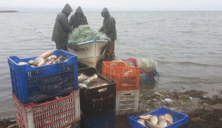 İznik gölü, nesli tükenen "kepekleme" balığı kaynıyor