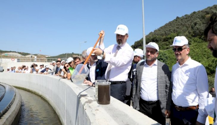 Gemlik Körfezi hayat buluyor