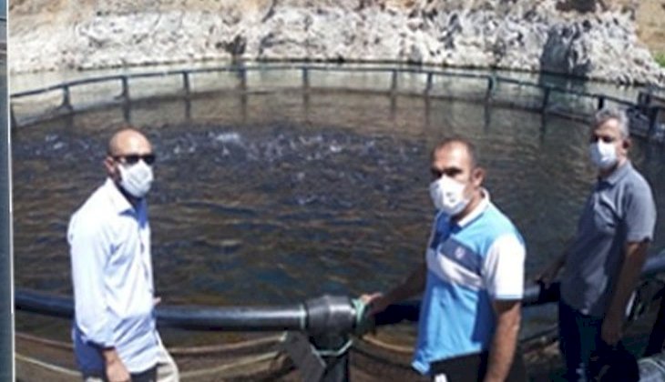 Malatya’da Somon balığı üretimi arttırılacak