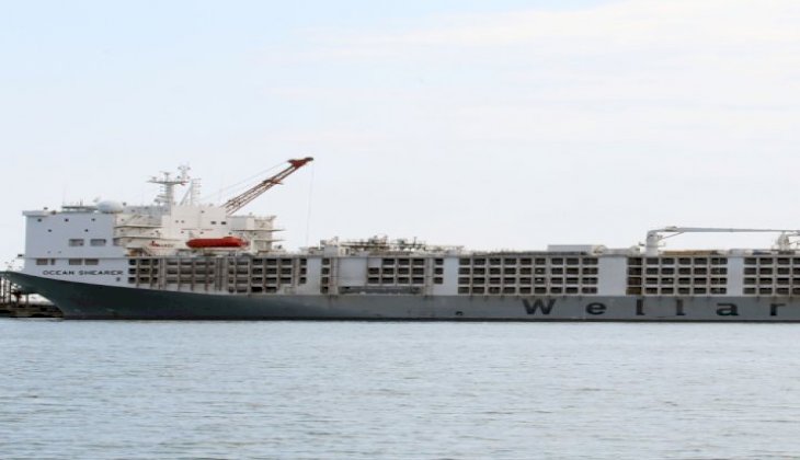 Samsunport Limanı o gemilere kapatıldı