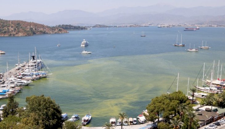 Fethiye Körfezi’nde suyun rengi neden değişti? İşte cevabı