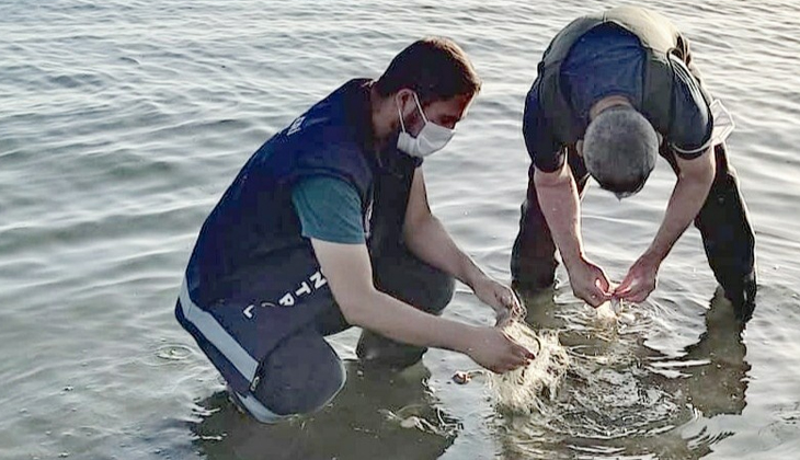 Van Gölü'nde 1 tondan fazla inci kefali ele geçirildi